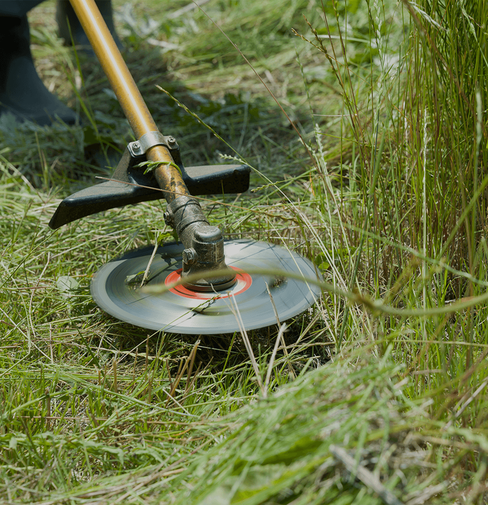 片付けから草刈りまで、日常の“困った”に寄り添います。