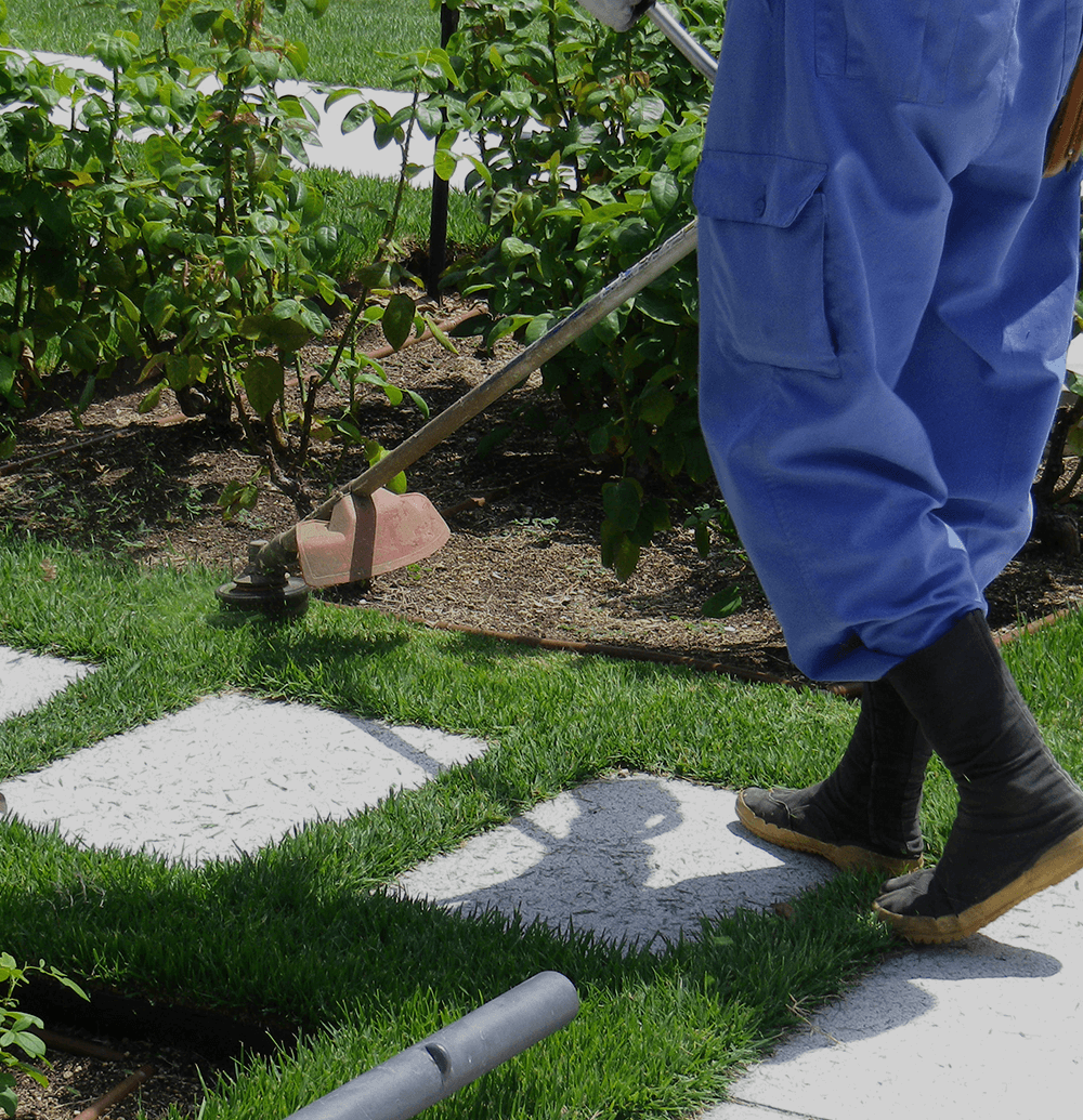 片付けから草刈りまで、日常の“困った”に寄り添います。