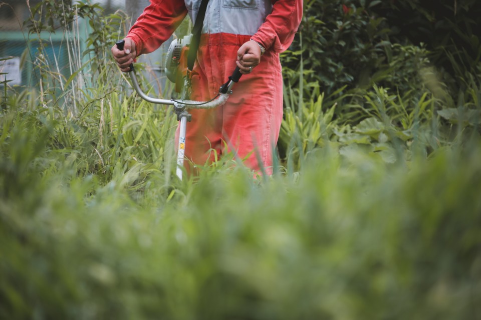 pixta_36858974_M-960x639