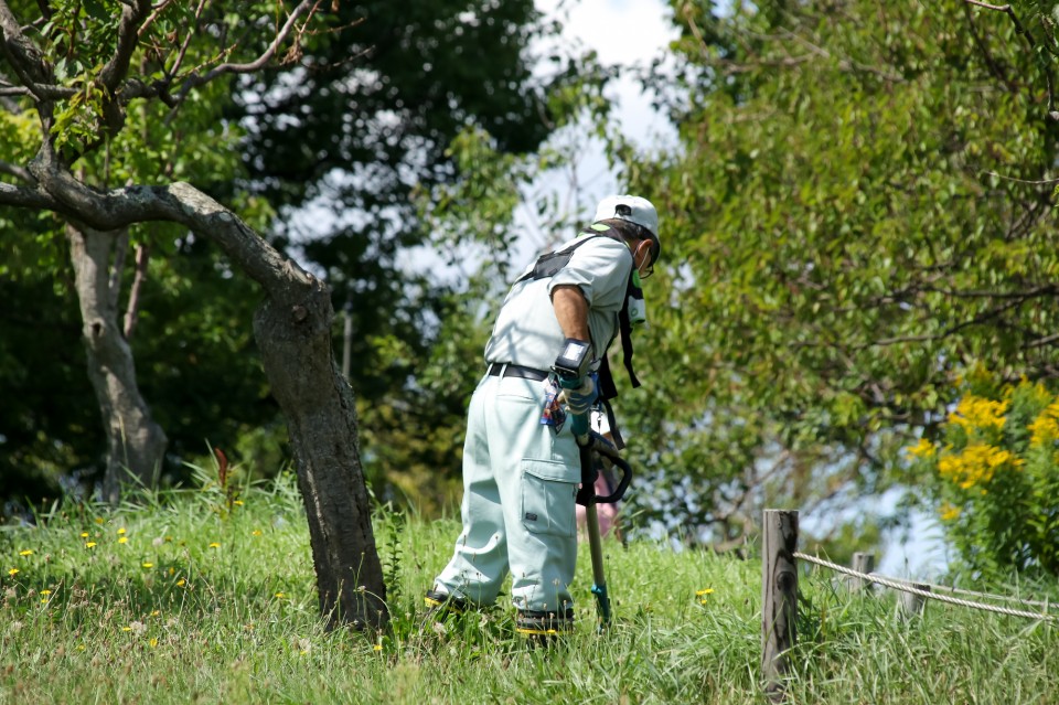 pixta_81475100_M-960x639