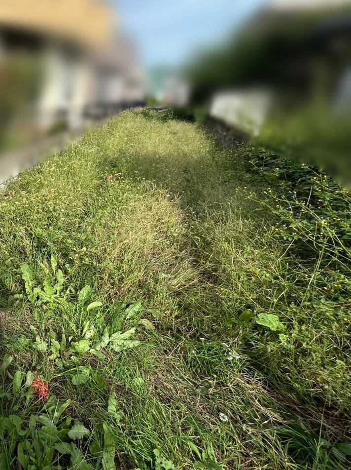 S__4980777_0