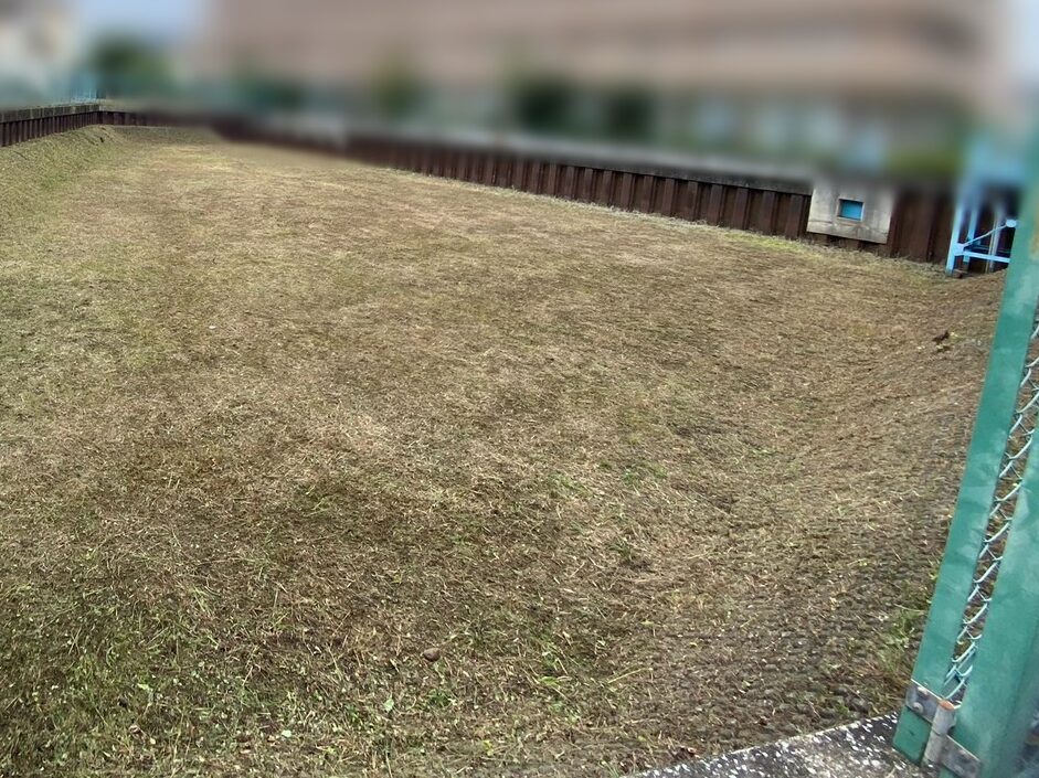 S__4980780_0